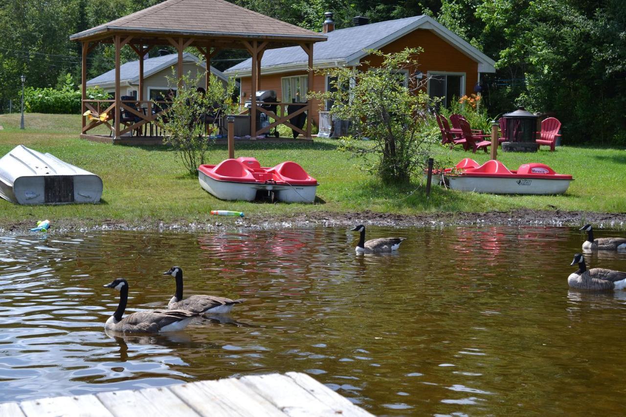 Les 4 Chalets - Le 605 Lac-Saint-Paul Exterior foto